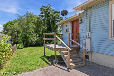 Tiny photo for 2446 Brown Ave, Knoxville, TN 37917 (MLS # 1341239)