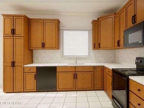 Tiny photo for 134 Waterston Way, Clinton, TN 37716 (MLS # 1321758)