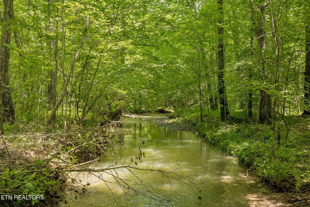 Photo of Nydeck Tract 4 Rd, Robbins, TN 37852 (MLS # 1351515)