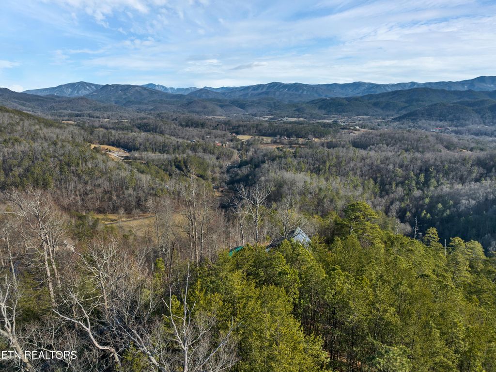 Photo of Twin Oak Mountain Rd, Townsend, TN 37882 (MLS # 1251133)