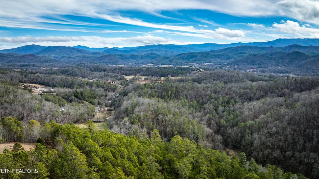 Photo of Twin Oak Mountain Rd, Townsend, TN 37882 (MLS # 1251133)
