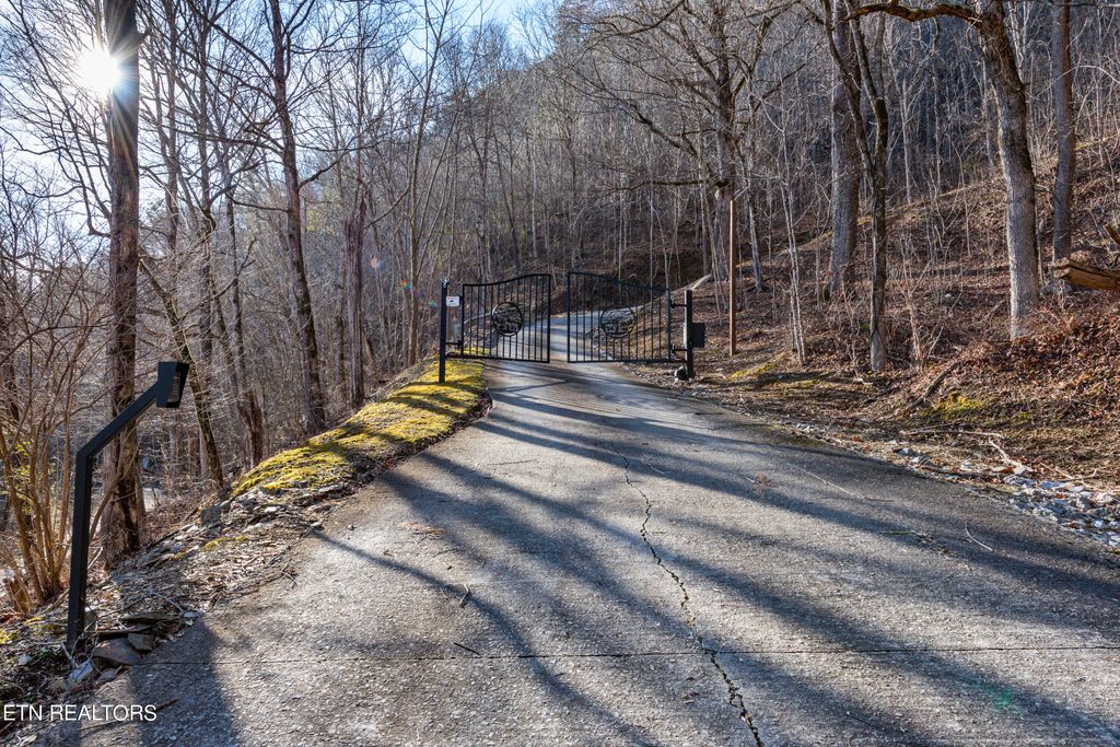 Photo of Twin Oak Mountain Rd, Townsend, TN 37882 (MLS # 1251133)