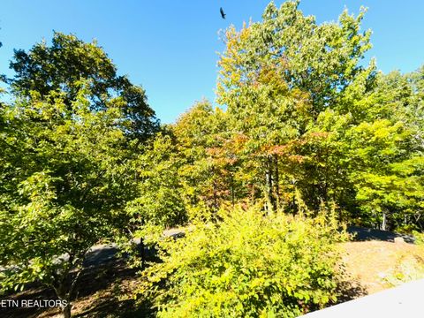Tiny photo for 254 Laurel Mountain Rd, Madisonville, TN 37354 (MLS # 1319960)