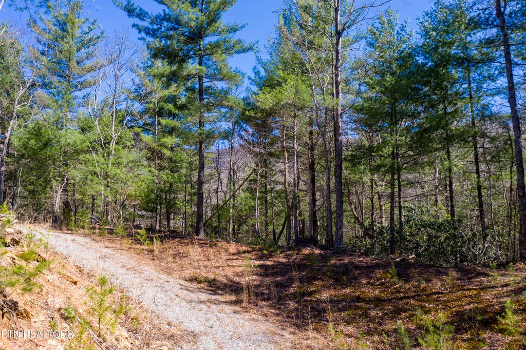 Photo of 242 Smithfield Rd, Tellico Plains, TN 37385 (MLS # 1258618)