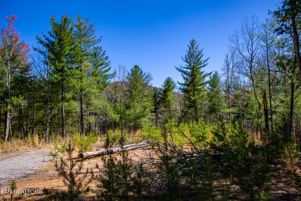 Photo of 242 Smithfield Rd, Tellico Plains, TN 37385 (MLS # 1258618)