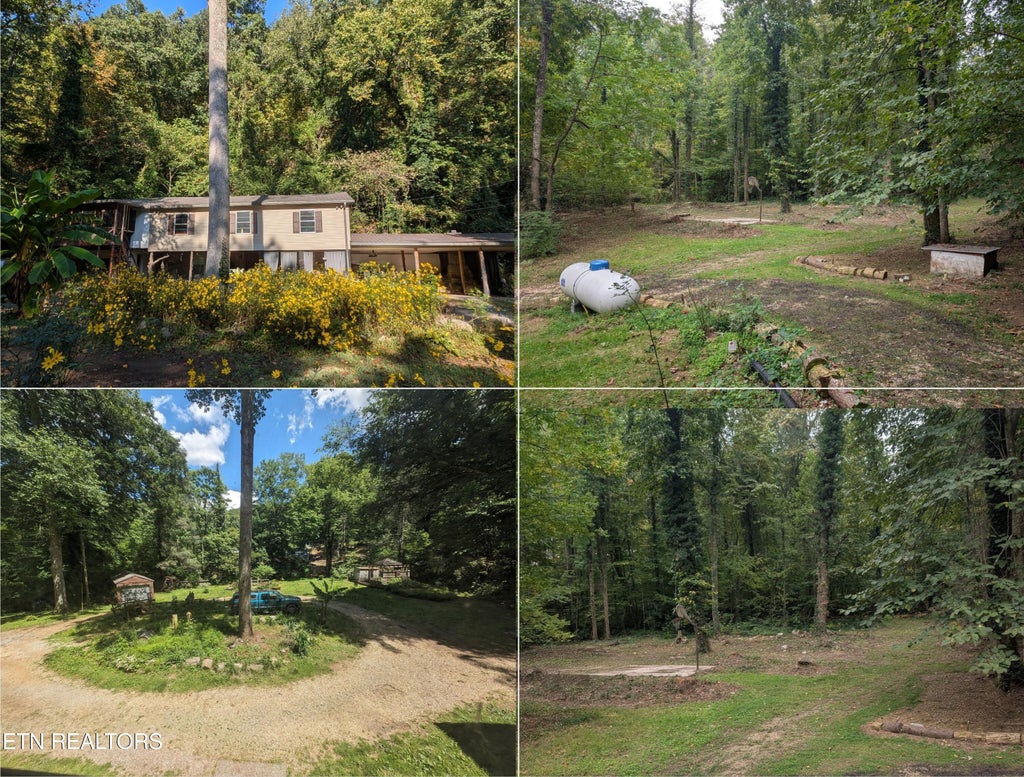 Photo of 1224 Spruce Lane, Newport, TN 37821 (MLS # 1359152)
