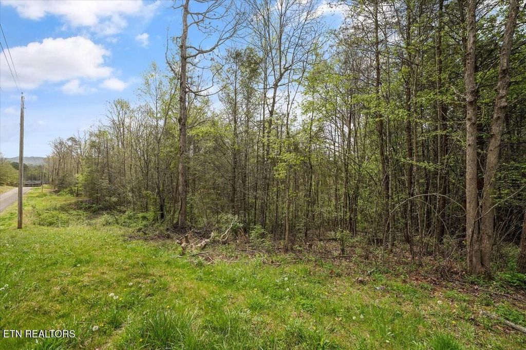 Photo of 1433 Timber Trail, Newport, TN 37821 (MLS # 1335336)