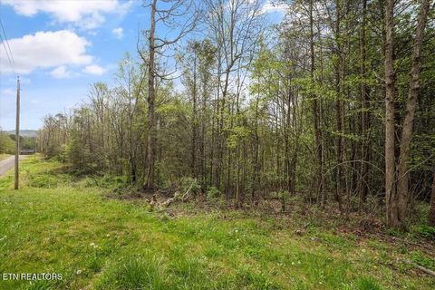 Photo of 1433 Timber Trail, Newport, TN 37821 (MLS # 1335336)