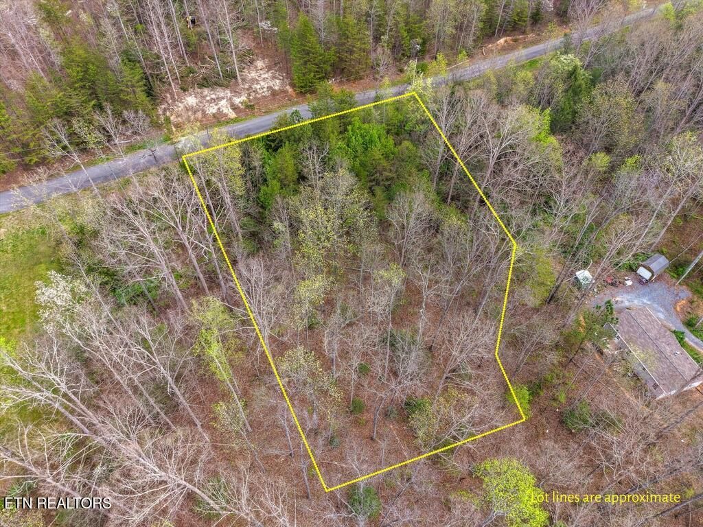 Photo of 1433 Timber Trail, Newport, TN 37821 (MLS # 1335336)