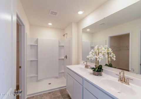 Tiny photo for 9320 River Cane Rd, Mascot, TN 37806 (MLS # 1328089)