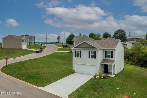 Tiny photo for 9320 River Cane Rd, Mascot, TN 37806 (MLS # 1328089)