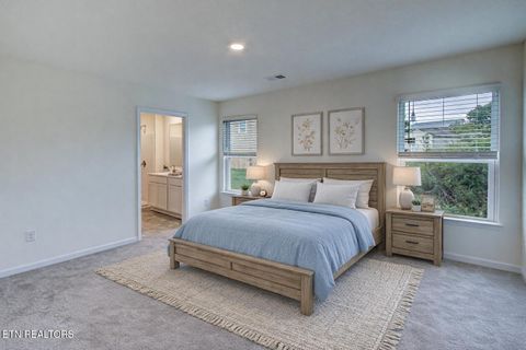 Tiny photo for 9320 River Cane Rd, Mascot, TN 37806 (MLS # 1328089)