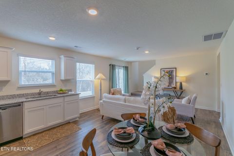 Tiny photo for 9320 River Cane Rd, Mascot, TN 37806 (MLS # 1328089)