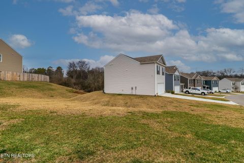 Tiny photo for 9320 River Cane Rd, Mascot, TN 37806 (MLS # 1328089)