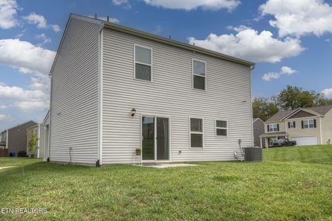 Tiny photo for 9320 River Cane Rd, Mascot, TN 37806 (MLS # 1328089)