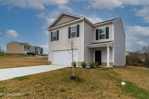 Photo of 9320 River Cane Rd, Mascot, TN 37806 (MLS # 1328089)