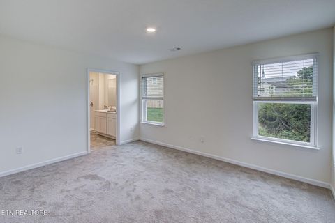 Tiny photo for 9320 River Cane Rd, Mascot, TN 37806 (MLS # 1328089)