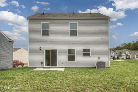 Tiny photo for 9320 River Cane Rd, Mascot, TN 37806 (MLS # 1328089)