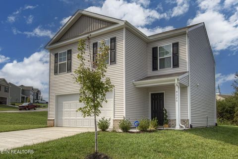 9320 River Cane Rd Mascot TN 37806