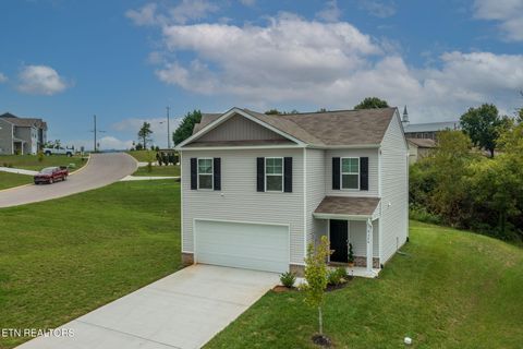 Tiny photo for 9320 River Cane Rd, Mascot, TN 37806 (MLS # 1328089)