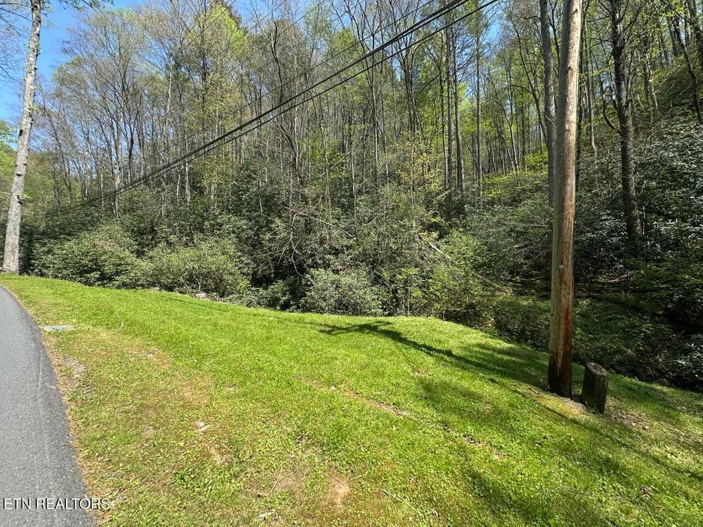 Photo of Butler Branch Rd, Gatlinburg, TN 37738 (MLS # 1297993)