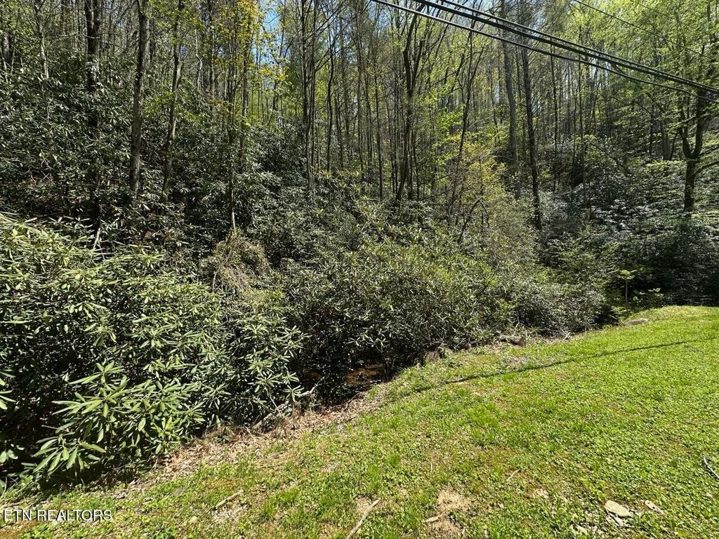 Photo of Butler Branch Rd, Gatlinburg, TN 37738 (MLS # 1297993)