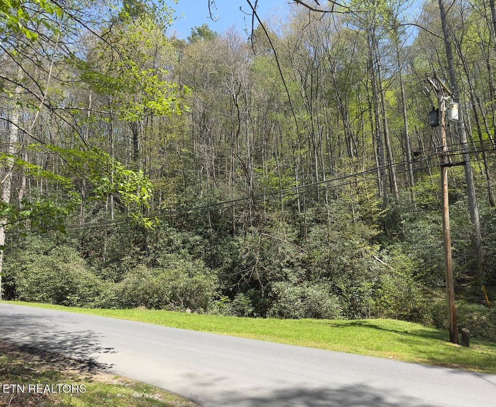 Photo of Butler Branch Rd, Gatlinburg, TN 37738 (MLS # 1297993)