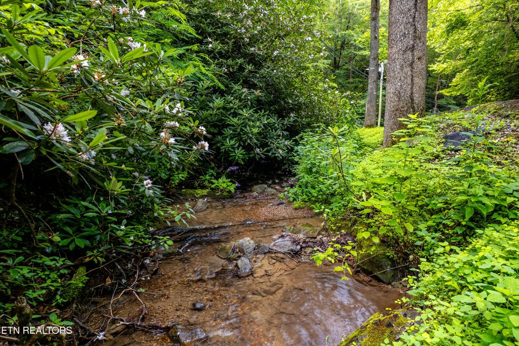 Photo of Butler Branch Rd, Gatlinburg, TN 37738 (MLS # 1297993)
