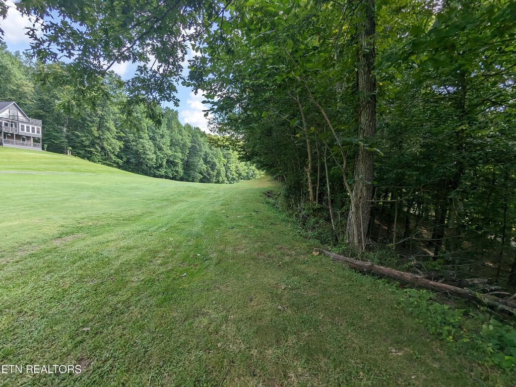 Photo of 745749 Hunters Run Rd, Townsend, TN 37882 (MLS # 1271811)