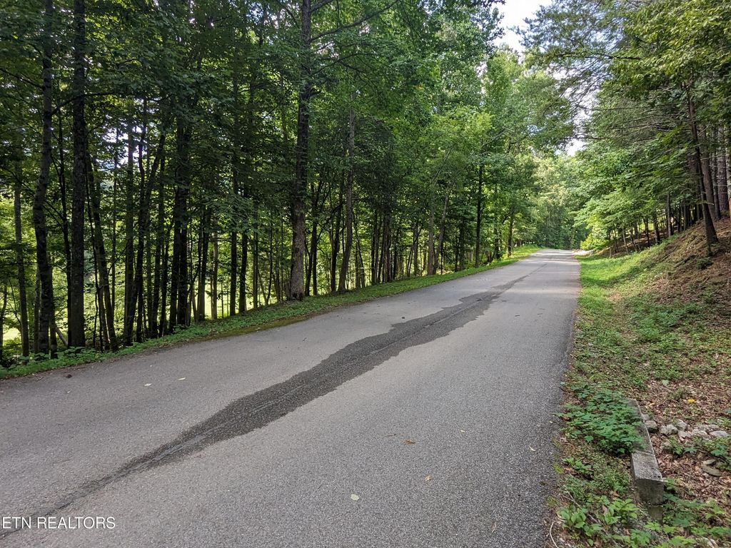 Photo of 745749 Hunters Run Rd, Townsend, TN 37882 (MLS # 1271811)