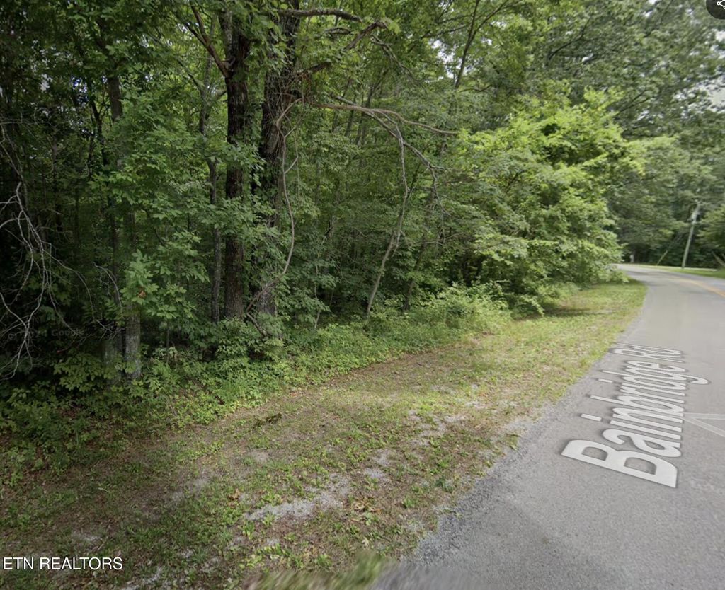 Photo of 227 Bainbridge Rd, Crossville, TN 38558 (MLS # 1341398)
