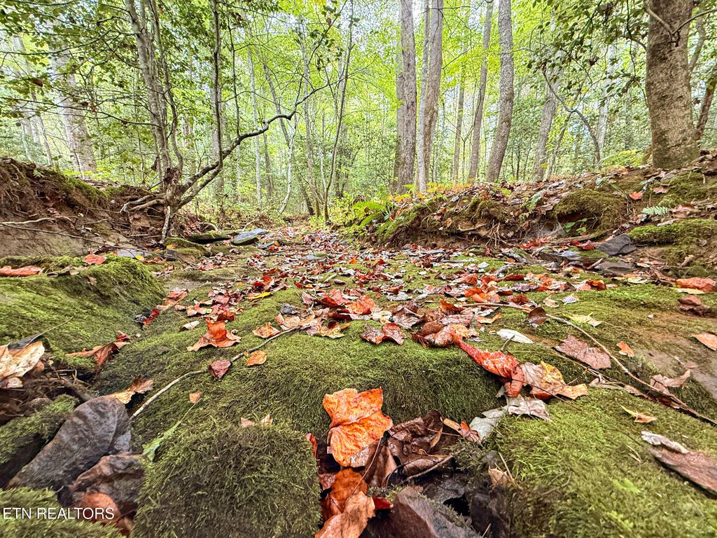 Photo of Lot 26 Airport Rd, Rockwood, TN 37854 (MLS # 1310471)