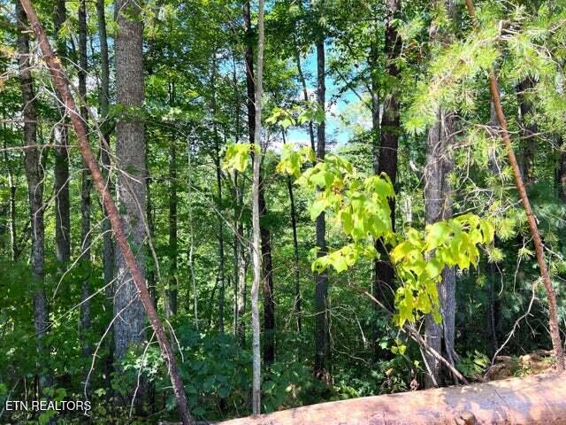 Tract 8 Faith Mtn Way