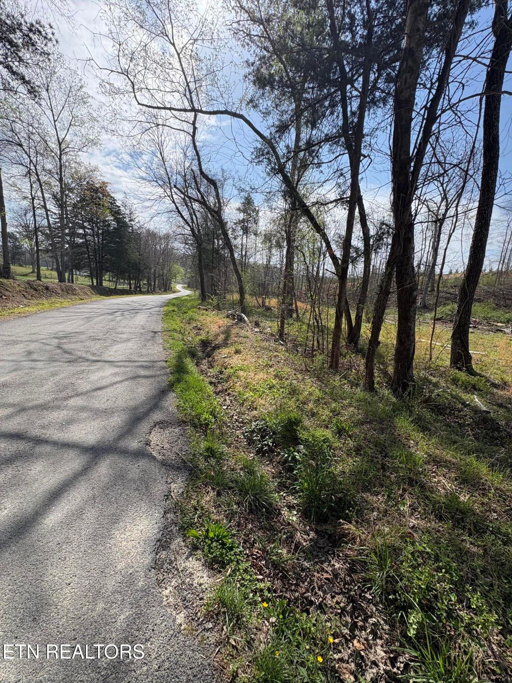 Photo of 706 Arwine Rd, Decatur, TN 37322 (MLS # 1334865)