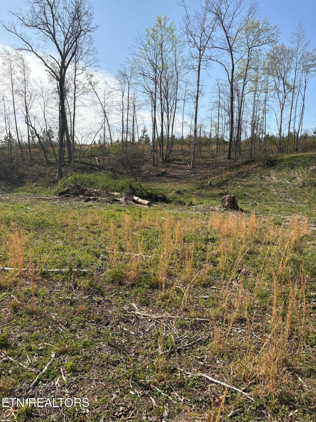 Photo of 706 Arwine Rd, Decatur, TN 37322 (MLS # 1334865)