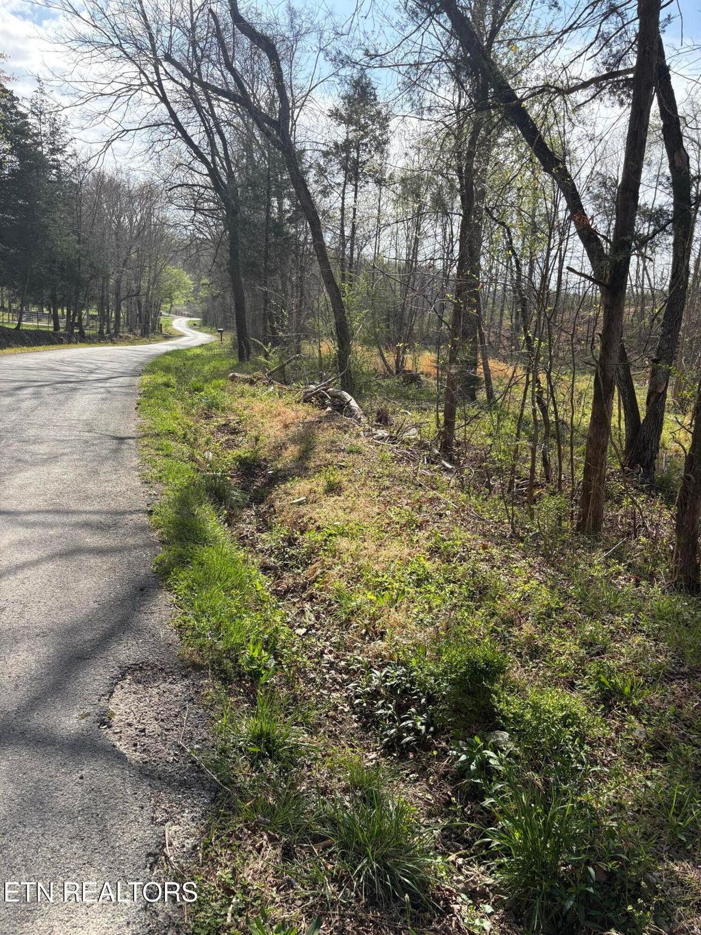 Photo of 706 Arwine Rd, Decatur, TN 37322 (MLS # 1334865)