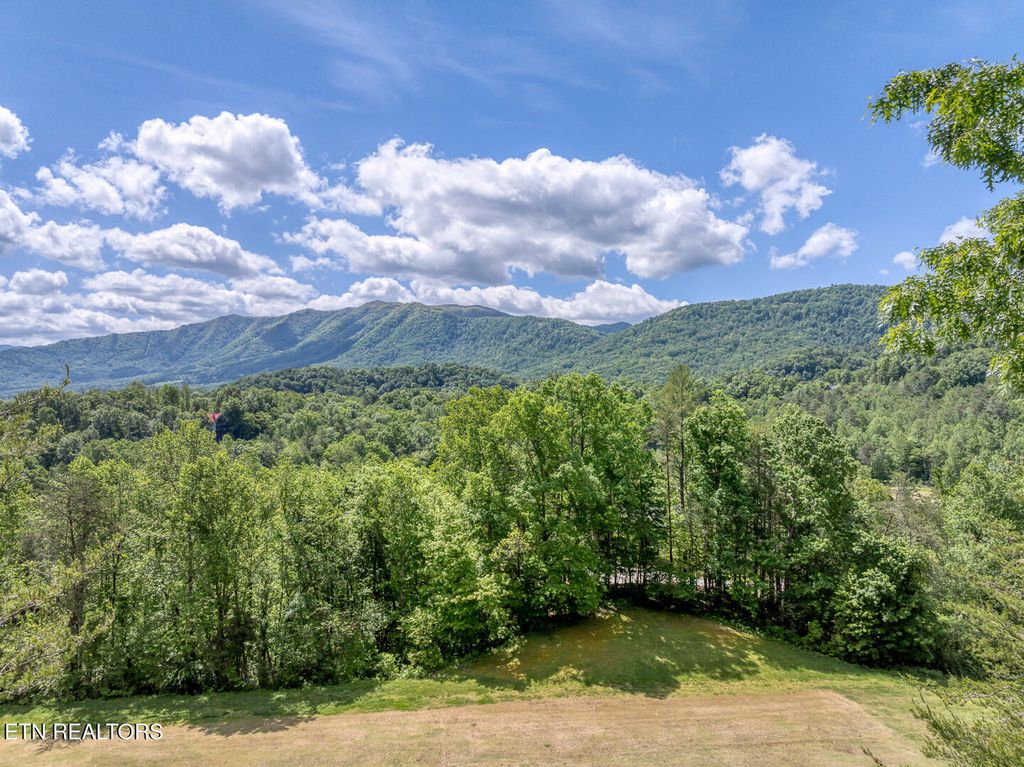 Photo of 413 Settlers Rise Rd, Townsend, TN 37882 (MLS # 1294289)