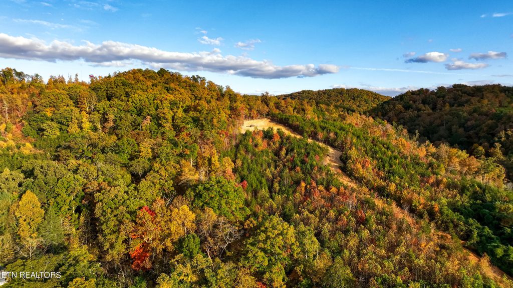 Photo of 6915 TN-360, Tellico Plains, TN 37385 (MLS # 1244241)