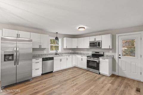 Tiny photo for 509 Kale Ave, Englewood, TN 37329 (MLS # 1324209)