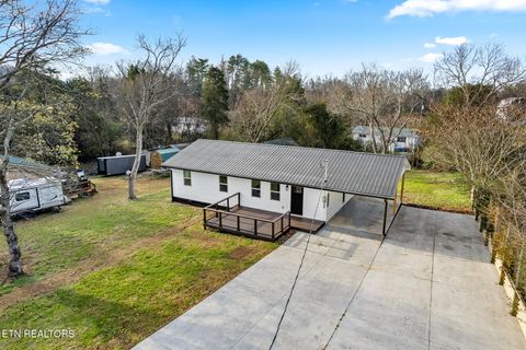 Tiny photo for 509 Kale Ave, Englewood, TN 37329 (MLS # 1324209)