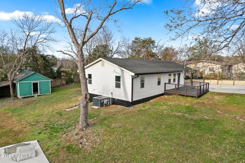 Tiny photo for 509 Kale Ave, Englewood, TN 37329 (MLS # 1324209)