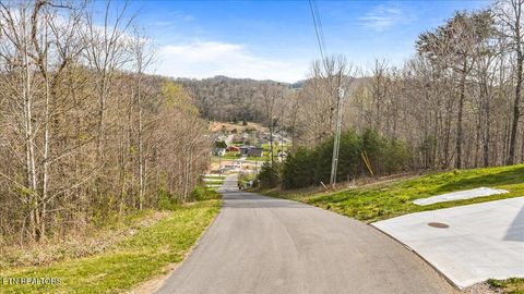 Tiny photo for 0 Hubbs Grove Rd, Maynardville, TN 37807 (MLS # 1335635)