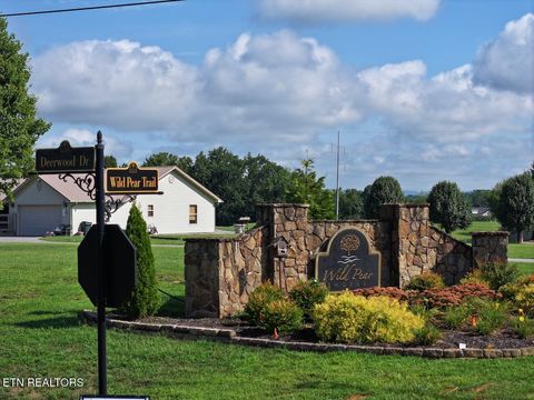 Tiny photo for 118 Big Oak Drive, Dandridge, TN 37725 (MLS # 1346452)