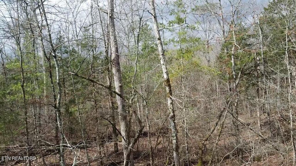 Photo of Gamble Gap Rd, Tellico Plains, TN 37385 (MLS # 1271216)