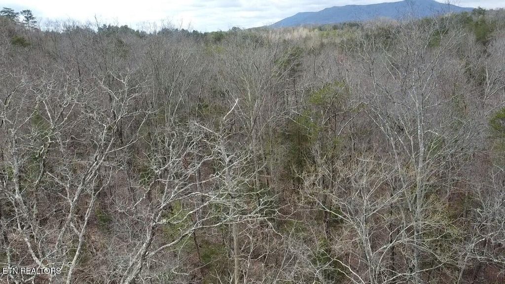 Photo of Gamble Gap Rd, Tellico Plains, TN 37385 (MLS # 1271216)