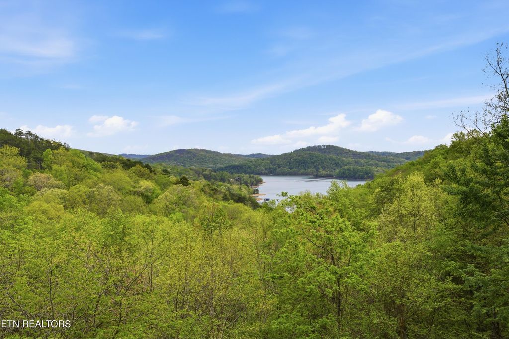 Photo of 699 Lakeview Drive, Sharps Chapel, TN 37866 (MLS # 1338451)