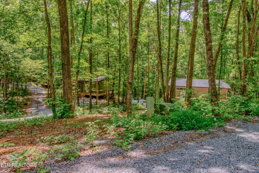 Photo of 8668 Lakeshore Drive, Rutledge, TN 37861 (MLS # 1351081)