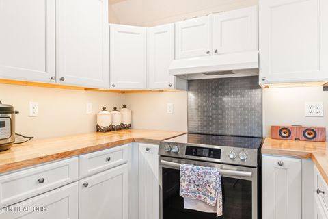 Tiny photo for 639 Richland Creek Drive, Blaine, TN 37709 (MLS # 1341799)