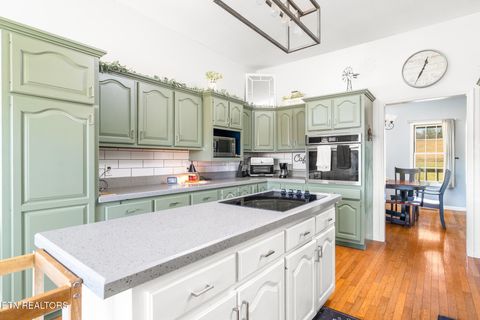 Tiny photo for 639 Richland Creek Drive, Blaine, TN 37709 (MLS # 1341799)
