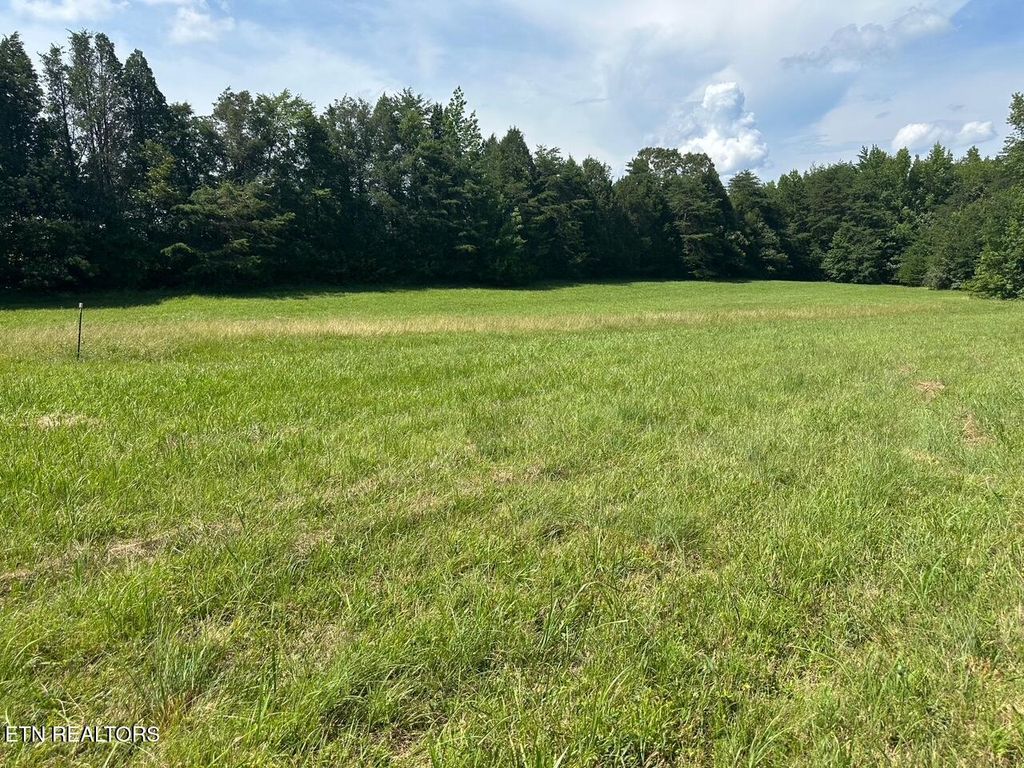 Photo of 18 McCabe Rd, Spring City, TN 37381 (MLS # 1308681)